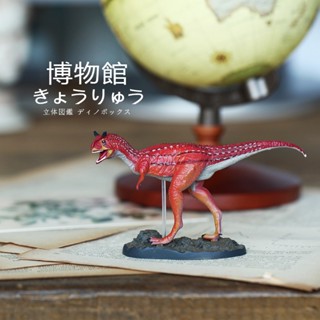 [ส่วนลด] Colorata Colorata Carnivorous Beef Dragon โมเดลพิพิธภัณฑ์ไดโนเสาร์ ของเล่นสะสม เก็บสะสม เดินทาง นํากลับมาใช้ใหม่