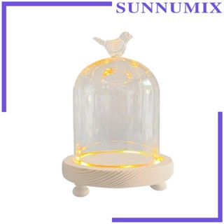 [Sunnimix] โดมแก้วใส สไตล์นอร์ดิก สําหรับโชว์ดอกไม้ วันวาเลนไทน์ DIY