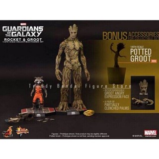 ของเล่นโมเดลฟิกเกอร์ Guardians of The Galaxy Groot Treant Rocket Raccoon 1.0 HT 1/6 MMS254