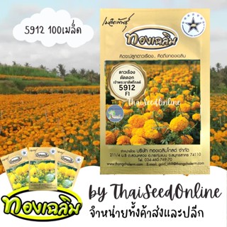 TC100S 100 เมล็ด เมล็ดพันธุ์ ดาวเรืองตัดดอกสีทองเข้ม เจ้าพระยาดีพโกลด์5912 100 เมล็ด ตราทองเฉลิม