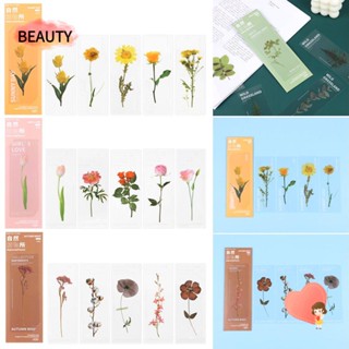 BEAUTY 5Pcs/Set Gift Translucent Flower Office School Supplies Specimen Bookmarks Nature Plants Bookmarks Page Holder Book Note Marker Leaf Vein Stationery Book Markers PET Bookmarks Card/Multicolor