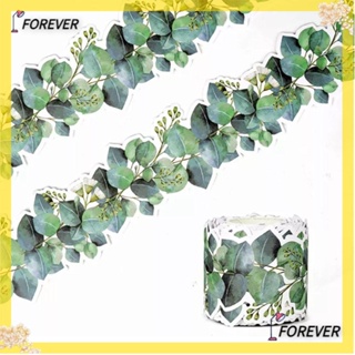 FOREVER ใบไม้เขตร้อน สีเขียว สําหรับตกแต่งผนังห้องเรียน