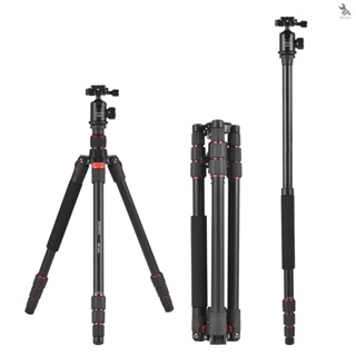 {self} Andoer ขาตั้งกล้องอลูมิเนียมอัลลอยด์ 153 ซม. 60 นิ้ว แบบพกพา พร้อม Monopod 360°หัวบอลหมุนได้ รับน้ําหนักได้ 10 กก. 22 ปอนด์ พร้อมกระเป๋า สําหรับกล้อง DSLR Camcord