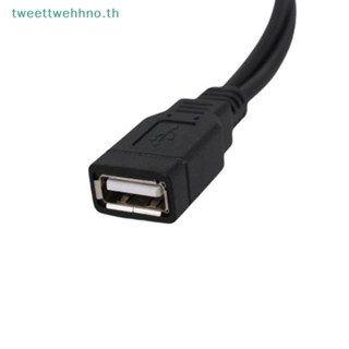 Tweettwehhno 2 In 1 สายเคเบิลต่อขยาย USB 2.0 ตัว Y เป็นตัวผู้ USB คู่ สําหรับเชื่อมต่อฮาร์ดดิสก์ การ์ดเครือข่าย TH