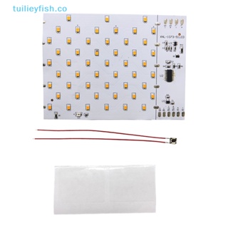 Tuilieyfish บอร์ดวงจรควบคุมไฟพลังงานแสงอาทิตย์ LED ชิปไฟเปลวไฟ พร้อมสามโหมด 1 ชิ้น