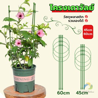 UBT โครงเถาวัลย์ เสามะเขือเทศ โครงปลูก อุปกรณ์สำหรับพืชไม้เลื้อย 45cm 60cm plant trellis