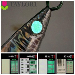 Taylor1 เหยื่อตกปลาเรืองแสง 3 มม. 4 มม. 5 มม. 6 มม. คละขนาด DIY 183 ชิ้น 69 ชิ้น