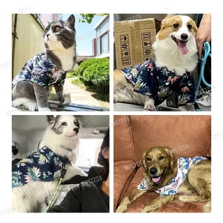 🇹🇭พร้อมส่ง🇹🇭🐶🐱🏖🏝🌞เสื้อฮาวาย ไซส์ XS-5XL เสื้อสุนัข ชุดแมว สุนัขพันธุ์ใหญ่ หมาพันธุ์กลาง หมาเล็ก