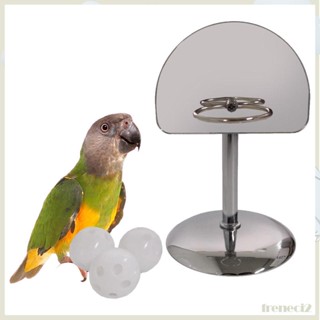 [Freneci2] ห่วงบาสเก็ตบอล ของเล่นนกแก้ว Quaker Macaw ของเล่นฝึกนก