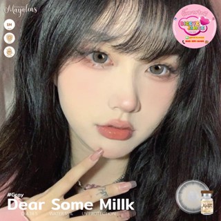 MayaLens Dear Some Milk Eff.19 Gray ใหญ่