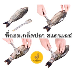 ราคาถูกสุด ที่ขูดเกล็ดปลา ที่ขอดเกล็ดปลา ไม้ขอดเกล็ด อุปกรณ์ขอดเกล็ดปลา ที่ถอดเกล็ดปลา สแตนเลส