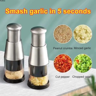 Ready 1 Pcs 304 Stainless Steel Garlic Chopper 3s Fast Food Chopper Garlic Press Kitchen Cooking Tool Manual Ginger Garlic Chopper Vegetable Processor Serein