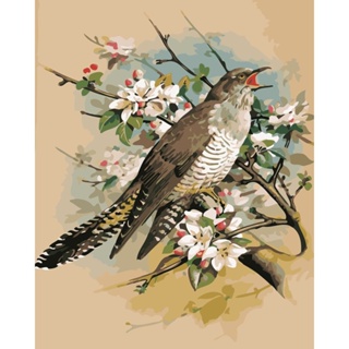 Artskills (พร้อมส่ง) ภาพระบายสีตามตัวเลข แบบขึงเฟรมไม้ งานศิลปะ DIY painting by numbers ภาพสวยๆ นก นกเขียนจริง 21091