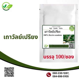 Popaya Jewel vine เถา- วัลเปรียง /เครือตาปลาผงเเท้100% บรรจุ100 C.