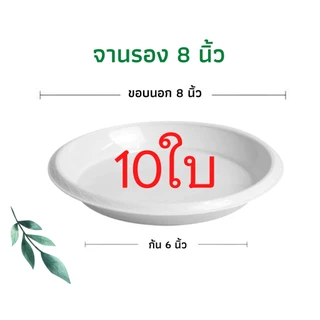 กระถางต้นไม้พลาสติก กระถางต้นไม้ กระถางแคคตัส สีดำ สีขาว 8 นิ้ว 10ใบ ราคาส่ง
