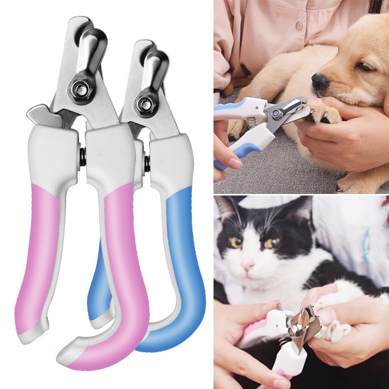 กรรไกรตัดเล็บสแตนเลส สําหรับดูแลนิ้วเท้าสัตว์เลี้ยง สุนัข แมว
