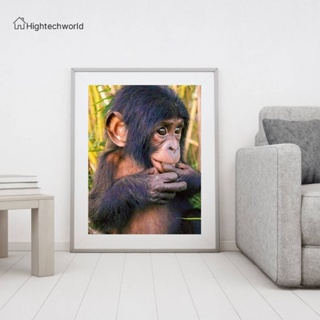 [Hightechworld.th] ใหม่ ชุดงานจิตรกรรมเม็ดบีด ทรงเพชรกลม พลอยเทียม รูป Orangutan 5D สําหรับตกแต่งผนังบ้าน DIY