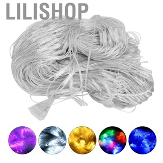 Lilishop Net Light  PS Material  Decor 6x4m 672LED for Christmas Window Display