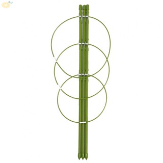 【VARSTR】Plant Potted Climbing Vine Rack High Quality Plastic Coated Rust-proof