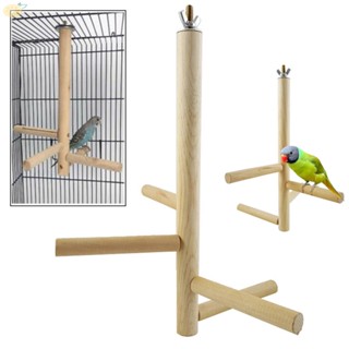 【VARSTR】Bird Toy For Small Birds Grape Wood Natural Wood Stand Wood Bird Standing Stick