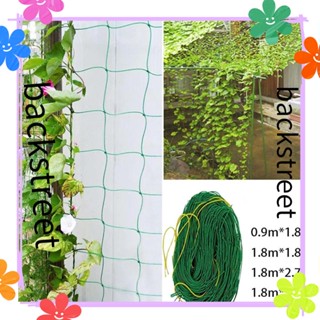 BACKSTREET Climbing Net High Quality Fruit Vegetable Flower Growing Fence Vines Holders