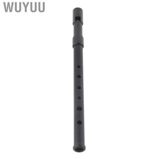 Wuyuu D Tin Whistle  Accurate  Clear  Irish Penny Easy Tuning Aluminum Alloy with Storage Box for Kids Home