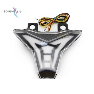 ไฟท้ายรถจักรยานยนต์ LED สําหรับ Kawasaki Z1000 Ninja 250 400 2014-2019