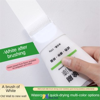 Wall Refinish Paint Home Brush Wall Paste Putty Wall Repair Waterproof Moisture-Proof Decontamination White Repair Paste MOLISA MOLISA