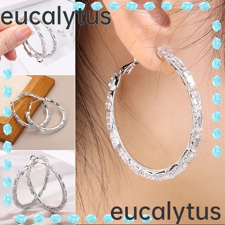 Eucalytus1 ต่างหูสตั๊ด ประดับเพทาย คริสตัลอัลลอย รูปวงกลม เข็มเงิน ของขวัญวันวาเลนไทน์ พร้อมเพชร เครื่องประดับ