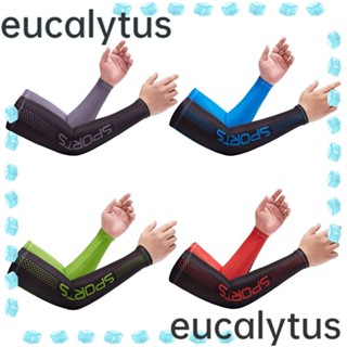 Eucalytus1 ปลอกแขน ให้ความอบอุ่น วิ่ง ฤดูร้อน ระบายความร้อน ป้องกันแดด