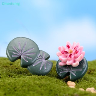 &lt;Chantsing&gt; ใบบัวจิ๋ว สีแดง สําหรับตกแต่งสวน ตู้ปลา diy