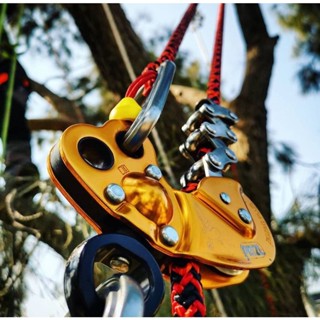 Petzl แท้จากบริษัท!! ซิกแซก พลัส อุปกรณ์ขึ้จับเชือกปีนต้นไม้ Petzl ZIGZAG PLUS Mechanical Prusik for tree care D022BA00