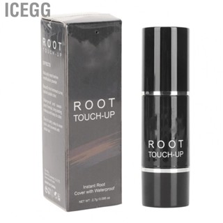 Icegg Hair Root   Cosmetic Easy Applying Eye Brow  Perfect Colour Transition  for Makeup