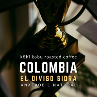 🏆 [มนต์สะกดของแชมป์โลก | จำนวนจำกัด!] Colombia El Diviso Sidra Anaerobic Natural