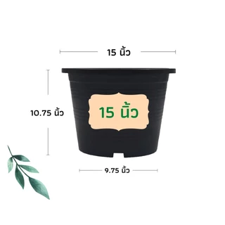 กระถางต้นไม้ 15 กระถาง สีดำ สีขาว สีอิฐ ราคาส่ง