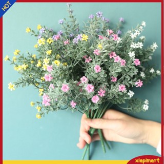 (xiapimart) ดอกยิปโซประดิษฐ์ 1 ชิ้น สําหรับตกแต่งบ้าน สวน ปาร์ตี้