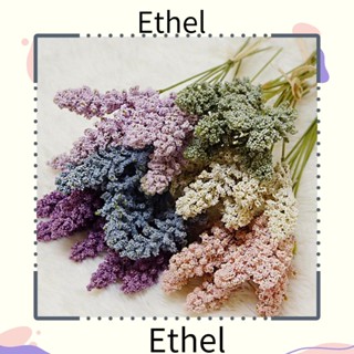 Ethel1 ผลไม้โฟม วานิลลาประดิษฐ์ สําหรับตกแต่งผนังบ้าน ปาร์ตี้ 6 ชิ้น ต่อชุด