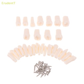 [ErudentT] โมเดลฟันจําลอง 28 ชิ้น/เซต [ใหม่]