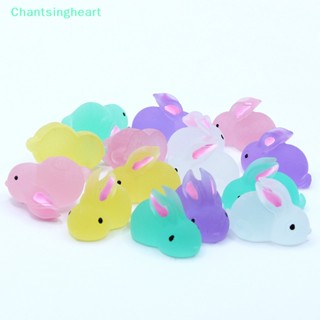 &lt;Chantsingheart&gt; ตุ๊กตากระต่ายน่ารัก เรืองแสง DIY สําหรับตกแต่ง 1 ชิ้น