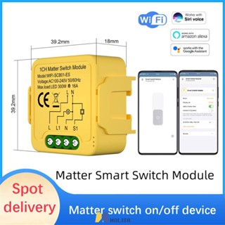 Matter Wifi สมาร์ทสวิตช์โมดูลรีเลย์ 1-gang 16a เข้ากันได้ Homekit Smartthings Alexa Home MOLISA