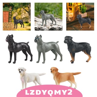 [Lzdyqmy2] โมเดลฟิกเกอร์ รูปปั้นสุนัขจําลอง ของขวัญวันเกิด