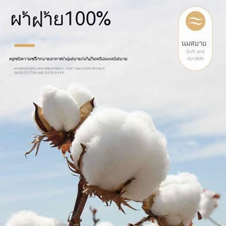 [Ten Beans] หมอนผ้าฝ้ายแท้ แบบนิ่ม บางพิเศษ สําหรับผู้ใหญ่ และเด็กนักเรียนหญิง30*50cm/40*60cm/48*74cm
