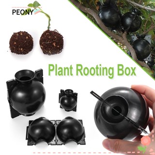 PEONY Hot Plant Rooting Growing Box Propagation Ball Botany Root Controller Breeding Case Garden Supplies 3specifications Grafting High Pressure/Multicolor