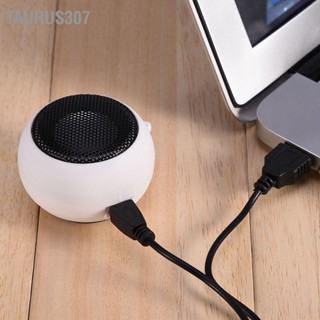 Taurus307 ลำโพงพกพาขนาดเล็ก 3.5 มม. แบตเตอรี่ในตัวสำหรับโทรศัพท์มือถือ MP3 PC