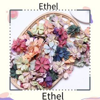 Ethel1 ดอกเดซี่ประดิษฐ์ สําหรับตกแต่งบ้าน สมุดภาพ 50 ชิ้น