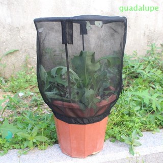 Guadalupe ม่านบังแดด ป้องกันฝ้า อบอุ่น สําหรับปลูกพืชในสวน กลางแจ้ง