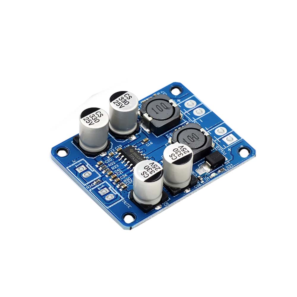 บอร์ดขยายเสียงดิจิทัลโมโน TPA3118 PBTL 1X60W 12V 24V