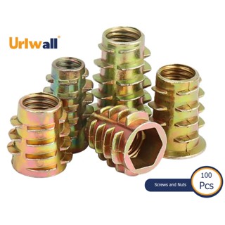 Urlwall น็อตสกรู โลหะผสมสังกะสี M4 M5 M6 M8 M10 สําหรับเฟอร์นิเจอร์ไม้ 100 ชิ้น