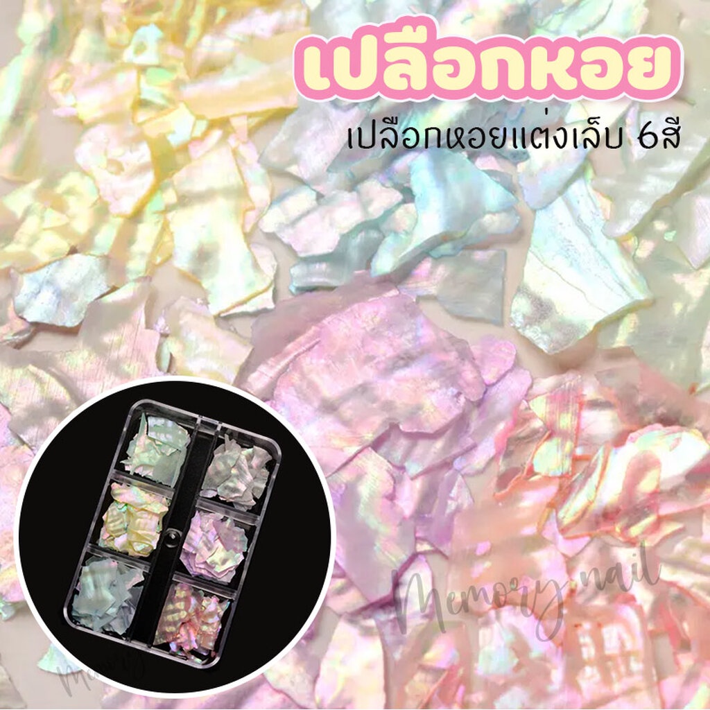 ( เปลือกหอย 6 สี) เปลือกหอย แผ่นบาง ชุด6สีสวย เปลือกหอยติดเล็บ แต่งเล็บ ฝั่งเล็บต่อ เล็บเจล อุปกรณ์ทำเล็บ
