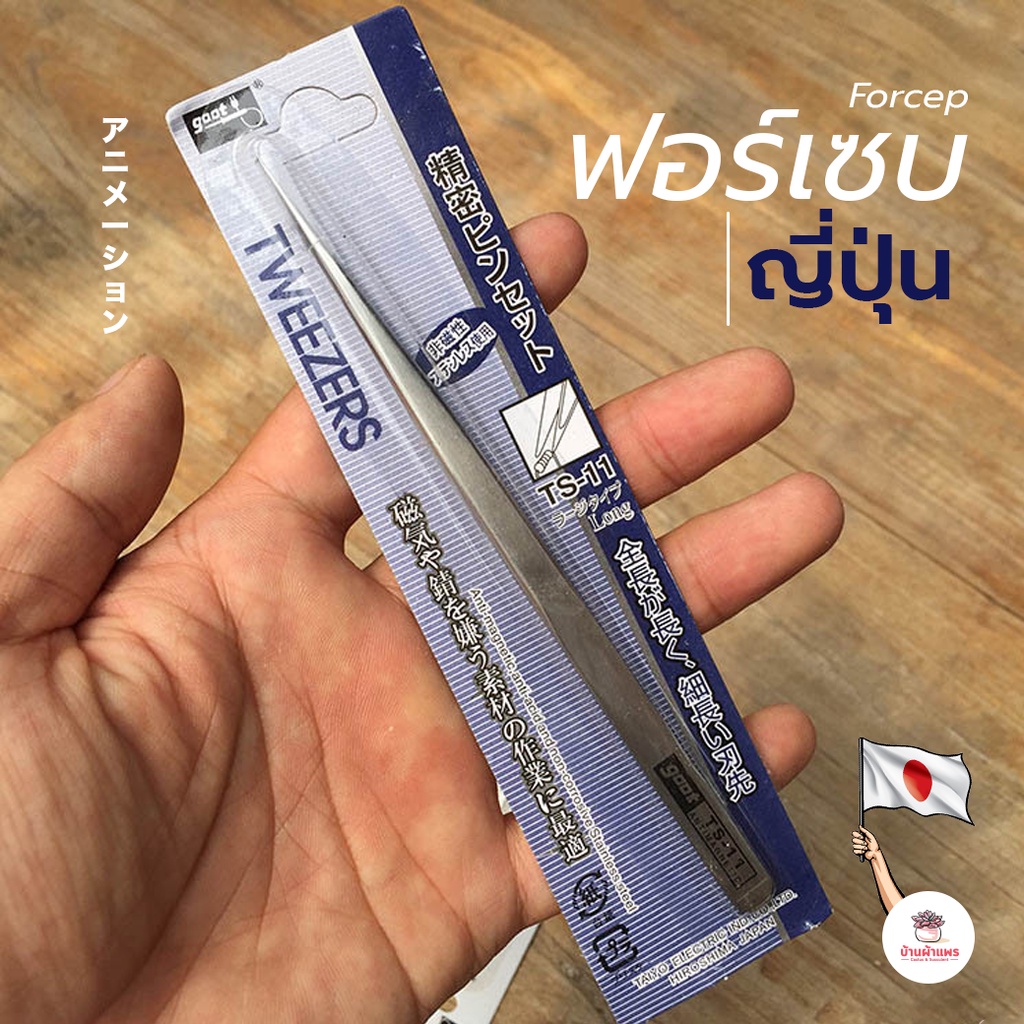 ฟอเซปญี่ปุ่น Forcep ฟอเซป ปากคีบ อุปกรณ์ช่วยปลูกต้นไม้ แคคตัส กระบองเพชร cactus&succulent